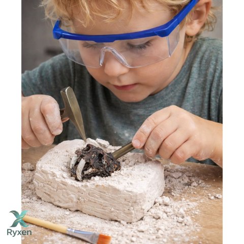 Zestaw Archeologiczny Wykopaliska Czaszek Kości Narzędzia Akcesoria LEAN TOYS