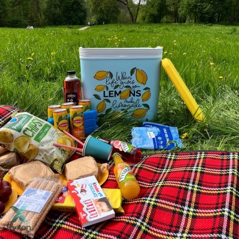 Lodówka CEGECO 24L Jasnoniebieska wzór Lemoniada Kamai Kamai COOLBOX