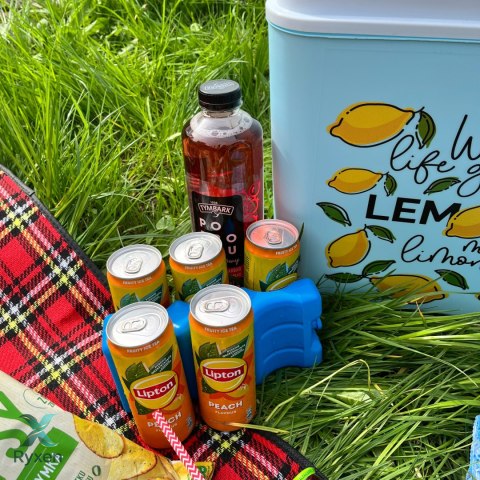 Lodówka CEGECO 24L Jasnoniebieska wzór Lemoniada Kamai Kamai COOLBOX