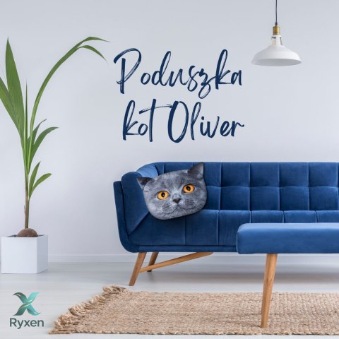 Poduszka kot "OLIVER" Rozmiar M Max Rever