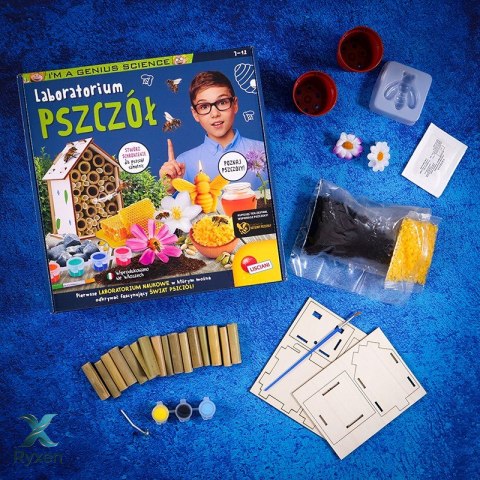 Zestaw i'm a genius - laboratorium pszczół LISCIANI