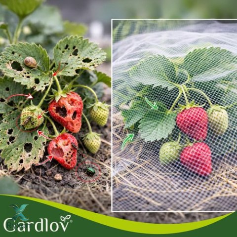 Siatka ochronna na grządkę 3x6m Gardlov GARDLOV