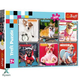 Puzzle - 200 - Wesołe psy - Trefl 13279 TREFL PUZZLE