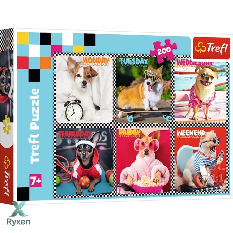 Puzzle - 200 - Wesołe psy - Trefl 13279 TREFL PUZZLE