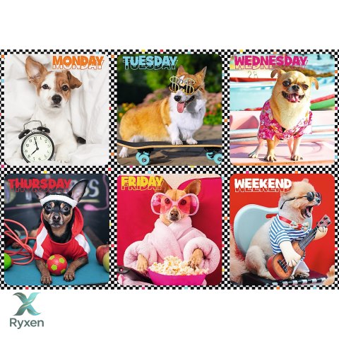 Puzzle - 200 - Wesołe psy - Trefl 13279 TREFL PUZZLE