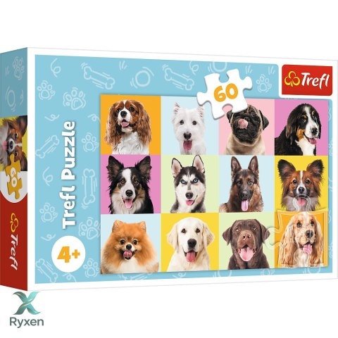 Puzzles - 60 - Słodkie psiaki - Trefl 17374 TREFL PUZZLE