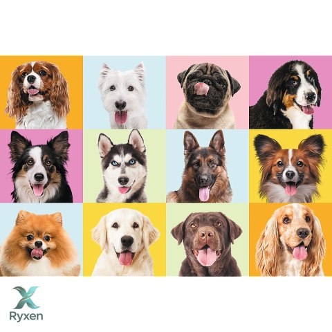 Puzzles - 60 - Słodkie psiaki - Trefl 17374 TREFL PUZZLE