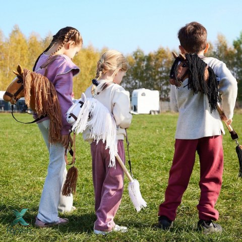 Koń na kiju hobby horse hoppihorse a3 chestnut - brąz, maść kasztanowata TOOTINY