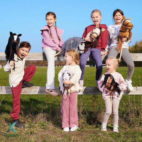 Koń na kiju hobby horse hoppihorse a3 chestnut - brąz, maść kasztanowata TOOTINY
