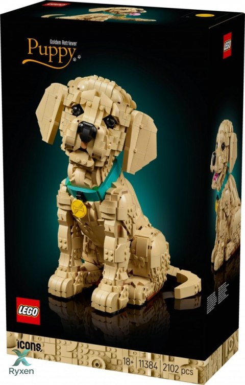 Klocki icons 11384 szczeniak golden retriever LEGO