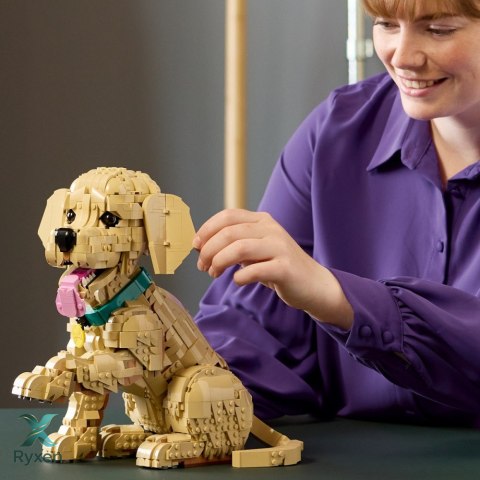 Klocki icons 11384 szczeniak golden retriever LEGO