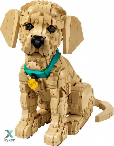 Klocki icons 11384 szczeniak golden retriever LEGO