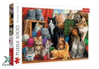 Puzzle - 1000 - Kocie Spotkanie - Trefl 10555 TREFL PUZZLE