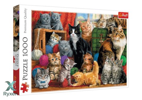 Puzzle - 1000 - Kocie Spotkanie - Trefl 10555 TREFL PUZZLE