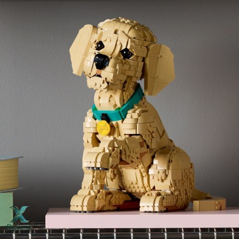 Klocki icons 11384 szczeniak golden retriever LEGO