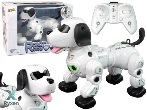 Piesek Robot Interaktywny Zdalnie Sterowany LEAN TOYS