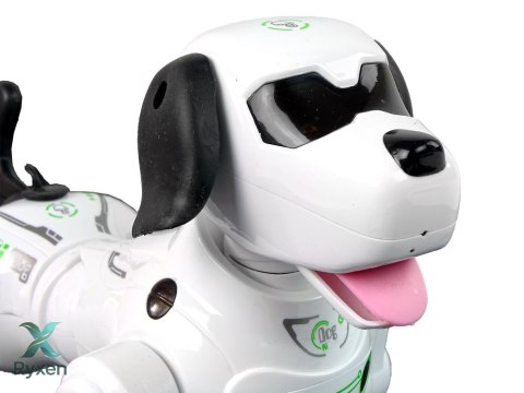 Piesek Robot Interaktywny Zdalnie Sterowany LEAN TOYS