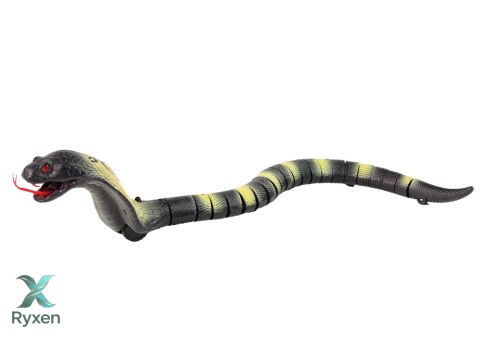 Zdalnie Sterowany Wąż Kobra Na Pilota 44 cm Długości LEAN TOYS