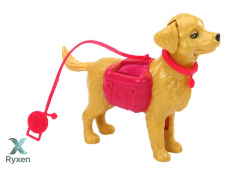 Zestaw Lalka Z Psami Kot Karma Weterynarz Akcesoria LEAN TOYS