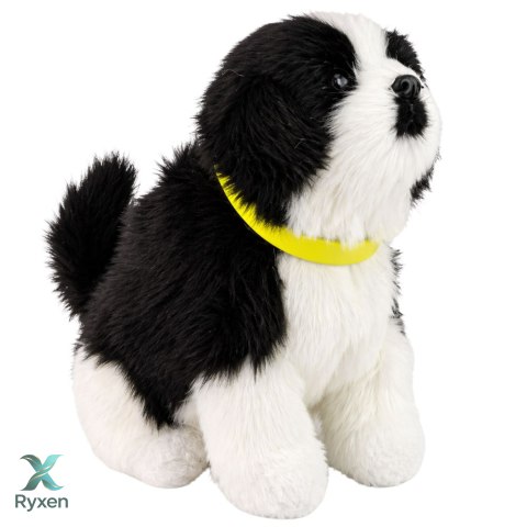 Interaktywny Pies Piesek Border Collie Pluszowy Szczeka Rusza Ogonem LEAN TOYS