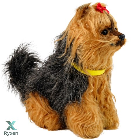 Interaktywny Pies Piesek Yorkshire terrier York Pluszowy Szczeka Rusza Ogonem LEAN TOYS