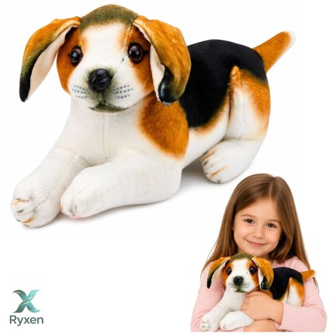 Pluszowy Piesek Beagle Przytulanka Maskotka Pluszak Pies Miękki 25 cm LEAN TOYS