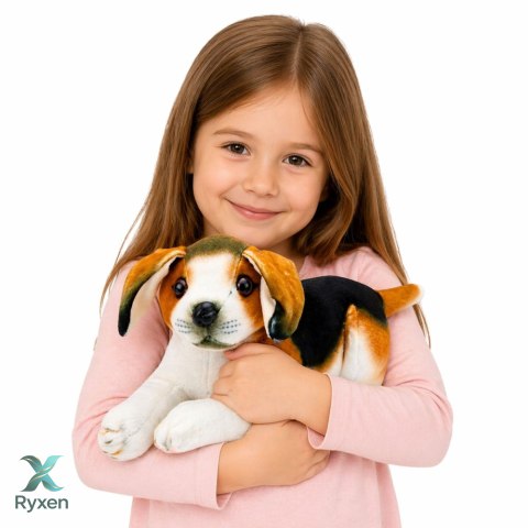 Pluszowy Piesek Beagle Przytulanka Maskotka Pluszak Pies Miękki 25 cm LEAN TOYS