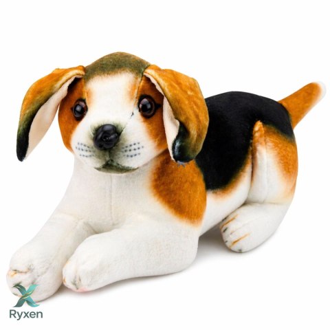 Pluszowy Piesek Beagle Przytulanka Maskotka Pluszak Pies Miękki 25 cm LEAN TOYS