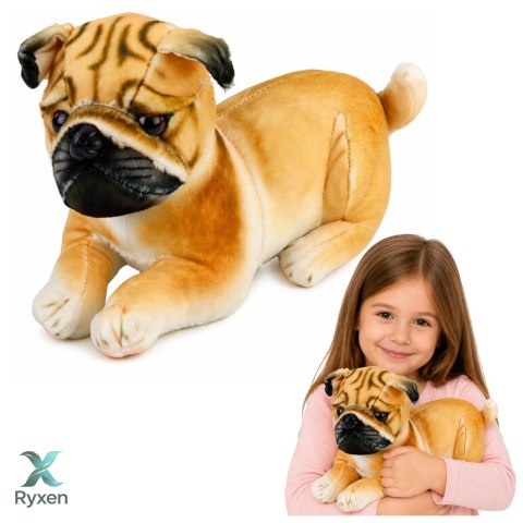 Pluszowy Piesek Mops Przytulanka Maskotka Pluszak Pies Miękki 25 cm LEAN TOYS