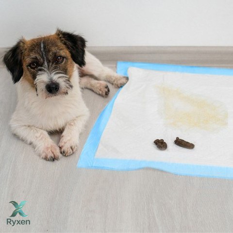 Podkład higieniczny 60x60cm 50szt. Purlov 21600 PURLOV