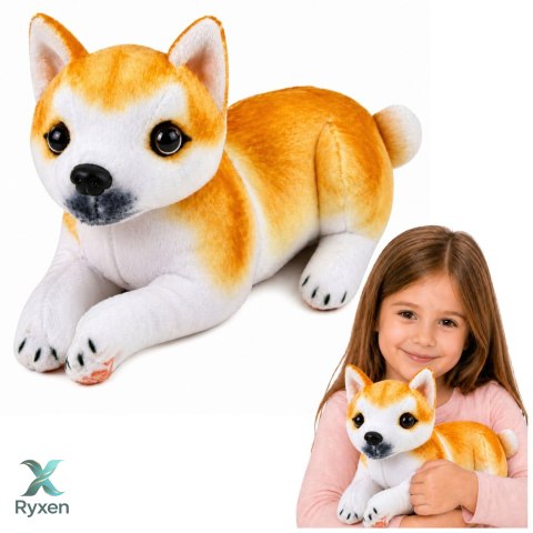 Pluszowy Piesek Shiba Inu Przytulanka Maskotka Pluszak Pies Miękki 25 cm LEAN TOYS