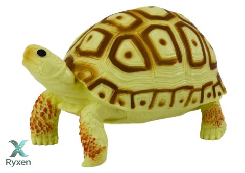 Figurka Kolekcjonerska Żółw Gad Jansożółty Brązowy B LEAN TOYS