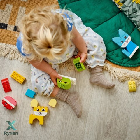 Klocki duplo 10477 kreatywne zwierzaki 3 w 1 LEGO