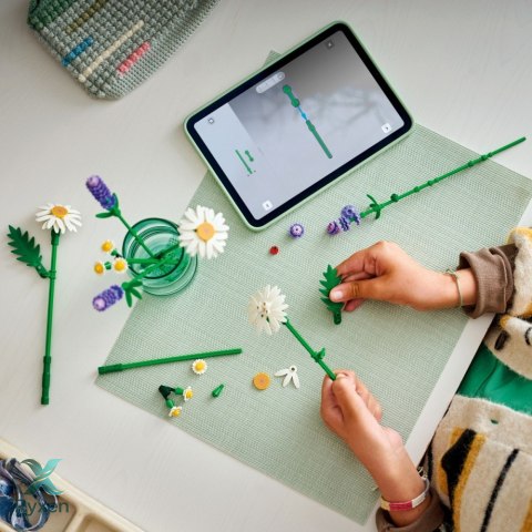 Klocki botanicals 11508 stokrotki LEGO