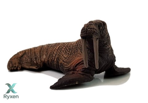 Figurki Edukacyjne Morskie Zwierzęta 8 Elementów Rekiny Foka Delfin Mors Żółw LEAN TOYS