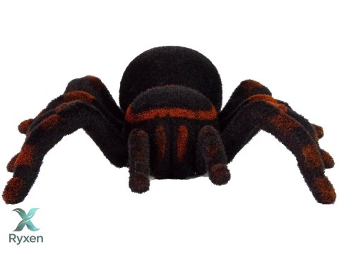 Zdalnie Sterowany Pająk Tarantula Czarny R/C LEAN TOYS