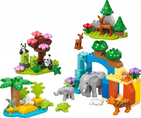 Klocki duplo 10446 rodziny dzikich zwierząt 3 w 1 LEGO
