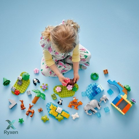 Klocki duplo 10446 rodziny dzikich zwierząt 3 w 1 LEGO