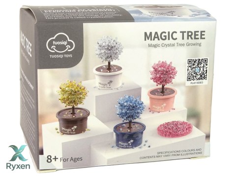 Magiczne Drzewko Hodowla Kryształów Doświadczenia Srebrne LEAN TOYS