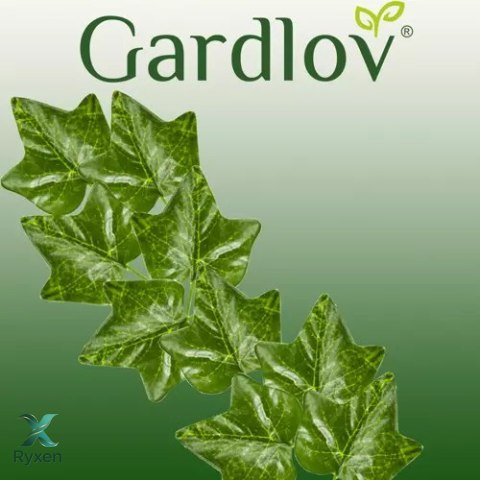 Sztuczny bluszcz- girlanda 25,2m Gardlov 19735 GARDLOV