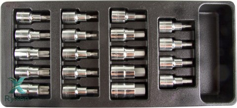 Tacka z zestawem bitonasadek hex i torx 19szt. proline Proline