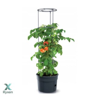 Doniczka do pomidorów Tomato Grower IPOM300 Prosperplast