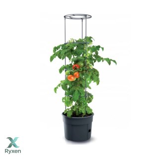 Doniczka do pomidorów Tomato Grower IPOM400 Prosperplast