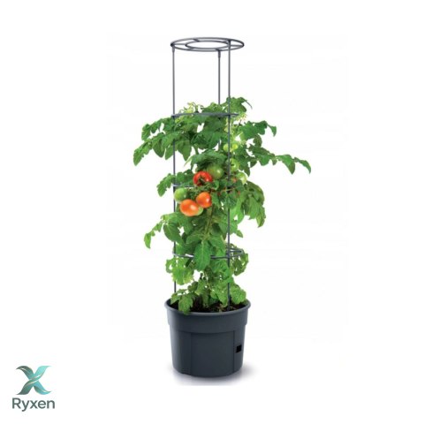Doniczka do pomidorów Tomato Grower IPOM400 Prosperplast