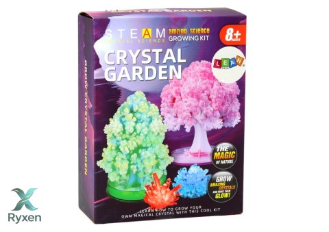 Zestaw Edukacyjny Doświadczenie Hodowla Kryształów Drzewka LEAN TOYS