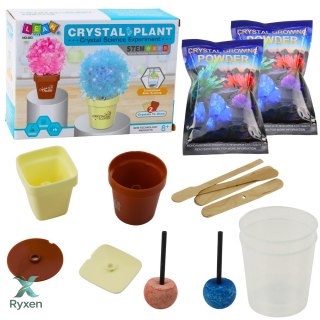 Zestaw Edukacyjny Hodowla Magiczne Drzewko Kryształowe LEAN TOYS