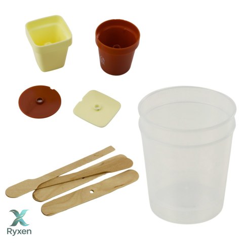 Zestaw Edukacyjny Hodowla Magiczne Drzewko Kryształowe LEAN TOYS