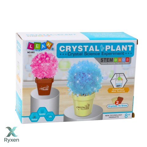 Zestaw Edukacyjny Hodowla Magiczne Drzewko Kryształowe LEAN TOYS