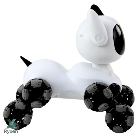 Robot Pies TOOBY Zdalnie Sterowany RC 360° Światła Dźwięki Biało-Czarny LEAN TOYS