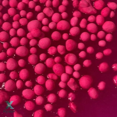 Zestaw slime diy magic pink xl TUBAN